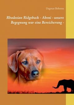 Rhodesian Ridgeback - Abeni - unsere Begegnung war eine Bereicherung -