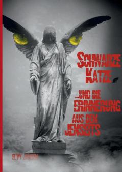 Schwarze Katze...und die Erinnerung aus dem Jenseits