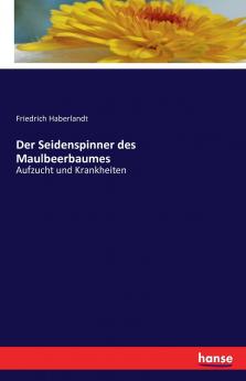 Der Seidenspinner des Maulbeerbaumes