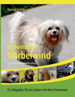 Kubanischer Wirbelwind