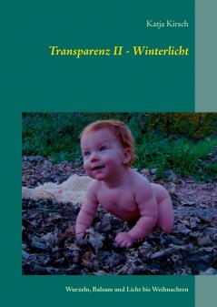 Transparenz II - Winterlicht