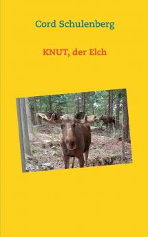 Knut der Elch