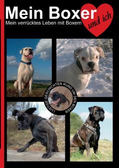 Mein Boxer und ich