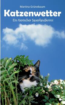 Katzenwetter