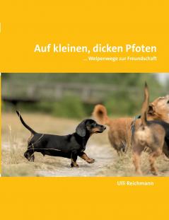 Auf kleinen dicken Pfoten