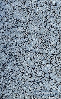 Gedankengänge (Notizbuch)