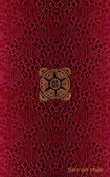 Buch der Magie (Notizbuch)