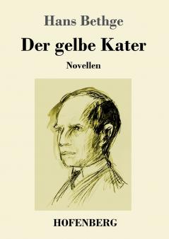 Der gelbe Kater