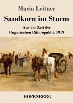 Sandkorn im Sturm