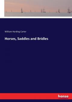 Horses Saddles and Bridles