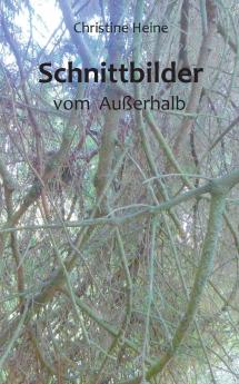 Schnittbilder