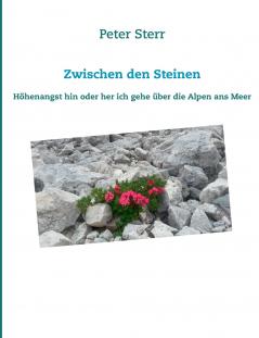 Zwischen den Steinen