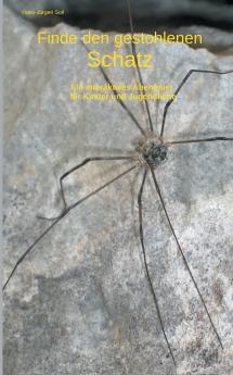 Finde den gestohlenen Schatz