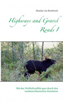Highways and Gravel Roads I