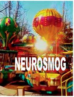 Neurosmog