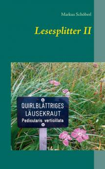 Lesesplitter II