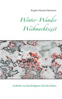Winter-Wunder-Weihnachtszeit