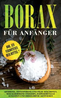 Borax für Anfänger