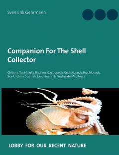 Companion For The Shell Collector