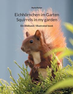Eichhörnchen im Garten / Squirrels in my garden