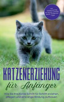 Katzenerziehung für Anfänger