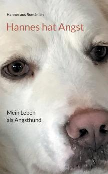 Hannes hat Angst