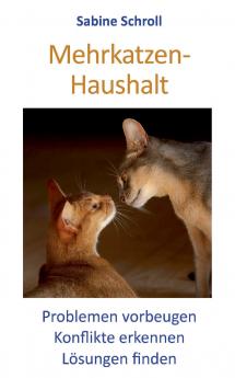 Mehrkatzen-Haushalt