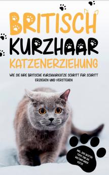 Britisch Kurzhaar Katzenerziehung