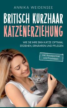 Britisch Kurzhaar Katzenerziehung