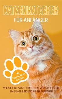 Katzenratgeber für Anfänger