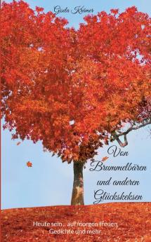 Von Brummelbären und anderen Glückskeksen