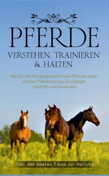 Pferde verstehen trainieren & halten