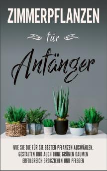 Zimmerpflanzen für Anfänger