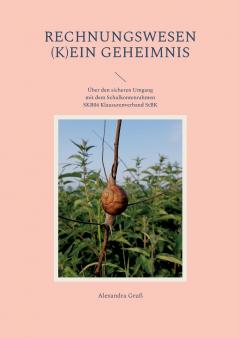 Rechnungswesen (k)ein Geheimnis