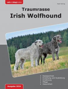 Traumrasse Irish Wolfhound