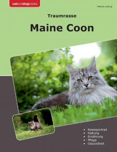 Traumrasse Maine Coon