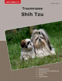 Traumrasse Shih Tzu