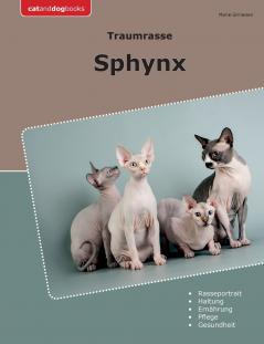 Traumrasse Sphynx