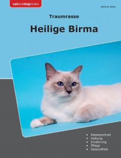 Traumrasse Heilige Birma