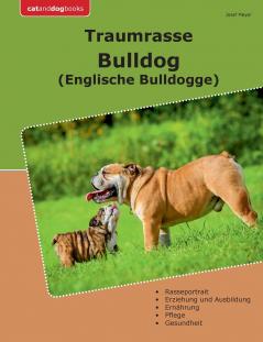 Traumrasse Bulldog