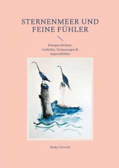 Sternenmeer und feine Fühler