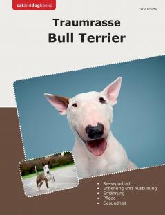 Traumrasse Bull Terrier