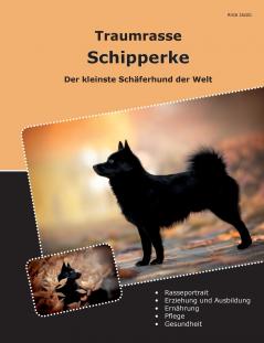 Traumrasse Schipperke