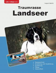 Traumrasse Landseer