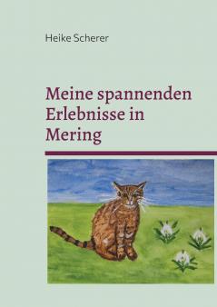 Meine spannenden Erlebnisse in Mering