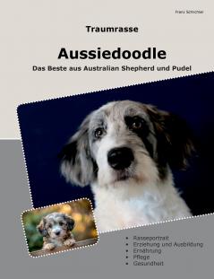 Traumrasse Aussiedoodle