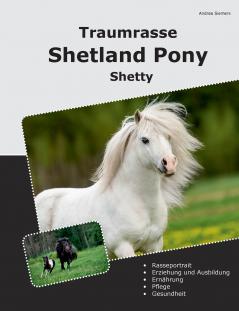 Traumrasse Shetland Pony