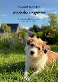 Wiederholungstäter
