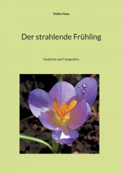 Der strahlende Frühling