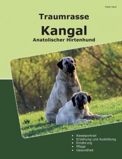 Traumrasse Kangal